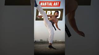 Part 9 Stamina Drills😰 stamina martialartstraining training youtubeshorts martialartsforlife [upl. by Iren]