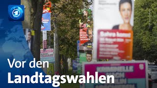 Vor den Landtagswahlen in Thüringen und Sachsen [upl. by Chem]