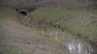 City officials addressing flooding concerns in Fellsmere [upl. by Derril]