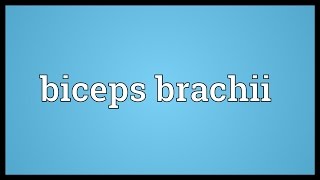 Biceps brachii Meaning [upl. by Mackenie112]