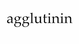 How to Pronounce agglutinin [upl. by Charlotte]