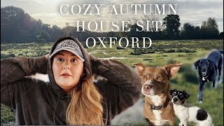 Cozy Autumn House Sitting Vlog in Oxford  Shelly Coco [upl. by Quirk]