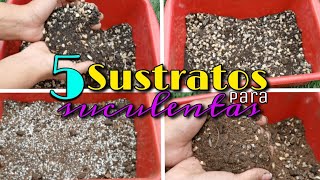 5 excelentes SUSTRATOS para CACTUS y SUCULENTAS 🌱  Jardines by Angie [upl. by Suivat400]