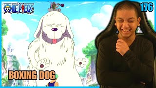 🐶 A BOXING DOG 🐶  One Piece  Episode 176  Reaction [upl. by Enaffit]