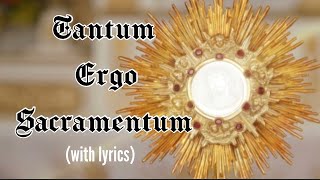 Tantum ergo Sacramentum lyrics Holy Hour HymnEucharistic Adoration Chant Catholic [upl. by Lahsram11]