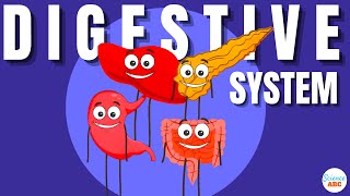 Digestive System Ingestion to Egestion Explained in Simple Words [upl. by Berners]