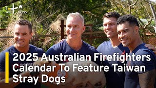 2025 Australian Firefighters Calendar To Feature Taiwan Stray Dogs  TaiwanPlus News [upl. by Tobin]