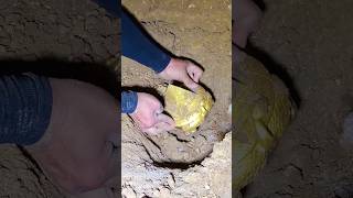 সোনা পেলে এগুলি মনে রাখবেন 💰।। Gold found in the farm [upl. by Alastair]