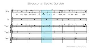 🎶 Sleepsong  Secret Garden 🎸🎸 [upl. by Lau]