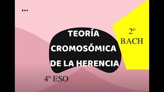 TEORÍA CROMOSÓMICA DE LA HERENCIA 4º ESO [upl. by Gnil]