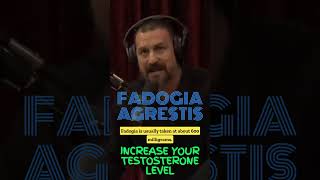 Increase testosterone levels tongkat ali amp fadogia agrestis  Andrew Huberman Joe Rogan [upl. by Narbig]