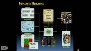 Genetics and immunology of alopecia areata [upl. by Odnolor]