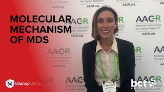 Simona Colla PhD on Understanding the Molecular Mechanism of MDS aacr24 [upl. by Drews294]