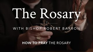 How to Pray the Rosary with Bishop Barron [upl. by Yelhak573]