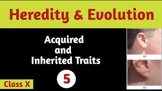 Heredity amp Evolution  Acquired amp Inherited Traits  Class 10  CBSE  Science  Biology  Part5 [upl. by Yttik453]