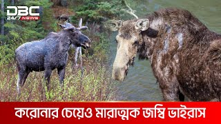 নতুন ভাইরাসের ভয়ে কাঁপছে আমেরিকা  DBC NEWS Special [upl. by Nicolea310]