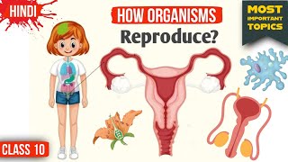 How Do Organisms Reproduce Class 10  How Do Organisms Reproduce Class 10 One Shot  Chapter 8 [upl. by Brigida]