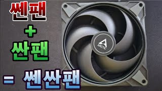 이런 팬이 있습니다 ARCTIC P14 Max 리뷰 및 테스트 vs P12 Max P14 PST우정출연 Wizmax 1200W 플레티넘 오디세이 Neo G9 G95NC [upl. by Ahcsatan]