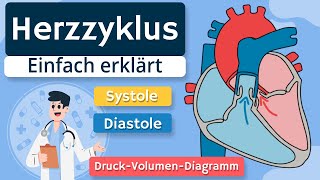 Herzzyklus  Systole Diastole und DruckVolumenDiagramm einfach erklärt [upl. by Locklin]