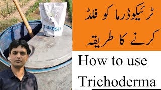 How to use Trichoderma in your field  Dr Jamil Shafi  Plant Clinics [upl. by Faythe894]