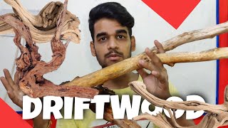 Searching For the Best Aquarium Driftwood for Aquascape How To Make At Home  Hindi [upl. by Porta]