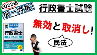 【民法・択一】20 無効と取消し！ [upl. by Cogn]