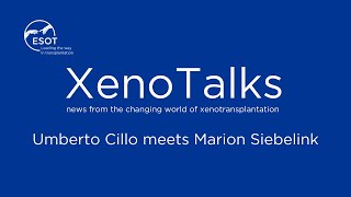 XenoTalks series  Umberto Cillo meets Marion Siebelink [upl. by Acinoda]