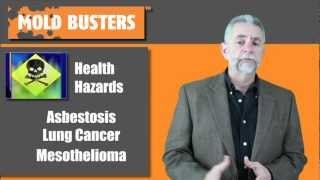 What to Do If You Find Asbestos [upl. by Kushner]