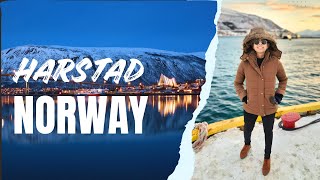 Harstad  Norway  Tromso Cruise [upl. by Georgine569]