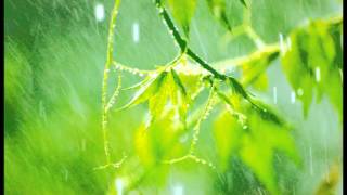 10 Minutes of relaxing rain sounds for Meditation Ideal for Beginners [upl. by Weaks]