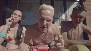 DIE ANTWOORD  BABYS ON FIRE OFFICIAL [upl. by Reniti]