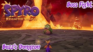 Spyro Reignited Trilogy Year Of The Dragon Buzzs Dungeon Boss [upl. by Spada]