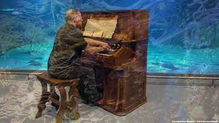 Laquarium extrait du Carnaval des animaux de Saint Saëns  Duo pour Orgue Célesta Mustel et Piano [upl. by Neelrahc]