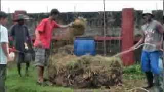 Part 1 Composting the fast and easy way in English and Tagalog [upl. by Ahsahtan]