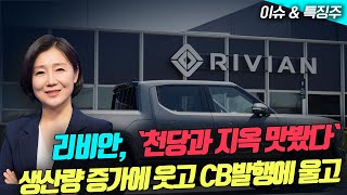 천당과 지옥 맛봤다 리비안 생산량 증가에 웃고 CB발행에 울고 디즈니 美테마파크 방문객수 감소에 할인 팔란티어 英NHS와 대규모 공급계약 가능성↑ [upl. by Marten]