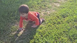 20240614Victor Explores Lawn in Austinville VA After Long Drive [upl. by Fechter]