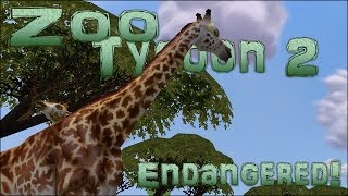 Endangered Celebrate World Giraffe Day  Episode 2 [upl. by Sousa]