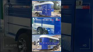 Come to custimize a beautiful trailer for your horses horse float trailer [upl. by Enyallij]