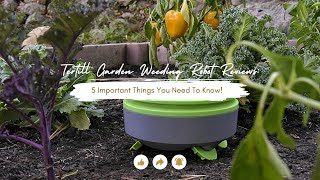 Tertill Garden Weeding Robot Reviews 5 Important Things You Need To Know [upl. by Knick]