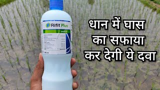 Rifit plus धान में घास का सफाया कर देगी ये दवा [upl. by Lynus23]