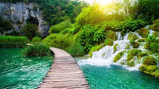 Plitvice Lakes National Park – Croatias Garden of Eden [upl. by Akaenahs543]