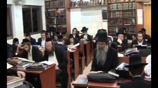 ‫tikkun chatzot and learn Torah while Midnight in kollel chatzos [upl. by Esiuolyram546]