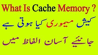 What Is Cache Memory UrduHindi [upl. by Ilrebmyk]