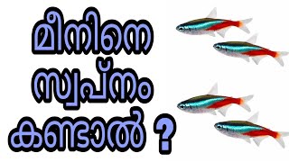 fish swapnam kandal swapna vyakyanam islam malayalam islamic speech meen sopna vakyanam phalam dream [upl. by Onitsirc]