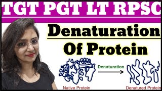 Denaturation of Protein  Types of DerivedProtein  TGT PGT LT RPSC HOME SCIENCE CLASSES BY DIVYA [upl. by Aerdnahs910]