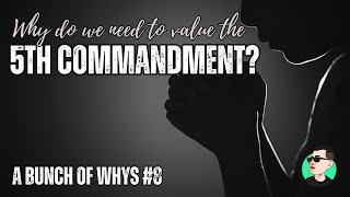 Man Behind the Lens VLOG 138 A Bunch of WHYs 8 Why Do We Need to Value the 5th Commandment [upl. by Rovaert]