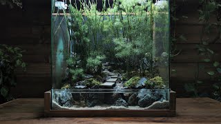 how to make a bamboo forest  Paludarium  Aquaterrarium [upl. by Llehctim]