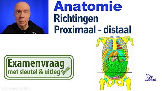 Richtingen proximaal en distaal Anatomie Uitleg examenvragen [upl. by Twelve141]