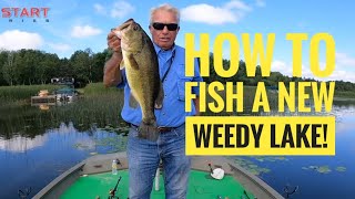 How to fish a new weedy lake [upl. by Bashee346]