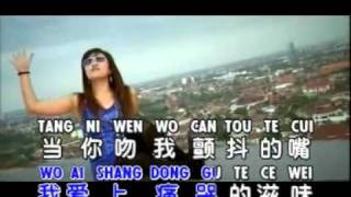 ‪TI YI TI LEI 第一滴泪  Huang Jia Jia 黄佳佳‬‏  YouTubeflv [upl. by Bates]